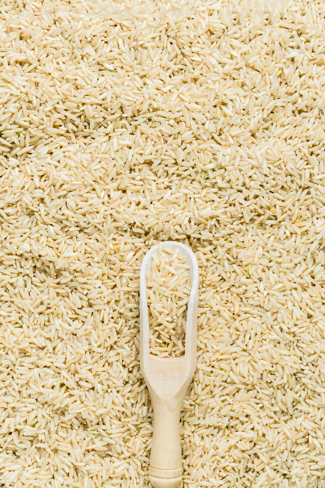 arroz