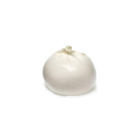 Burrata